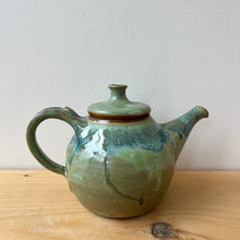 Load image into Gallery viewer, Teapot-Lichen
