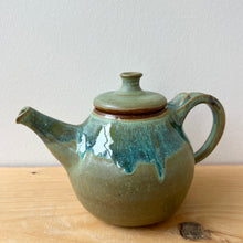 Load image into Gallery viewer, Teapot-Lichen
