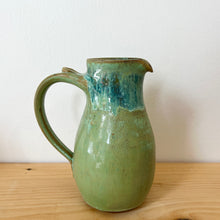 Load image into Gallery viewer, Pitcher-Lichen
