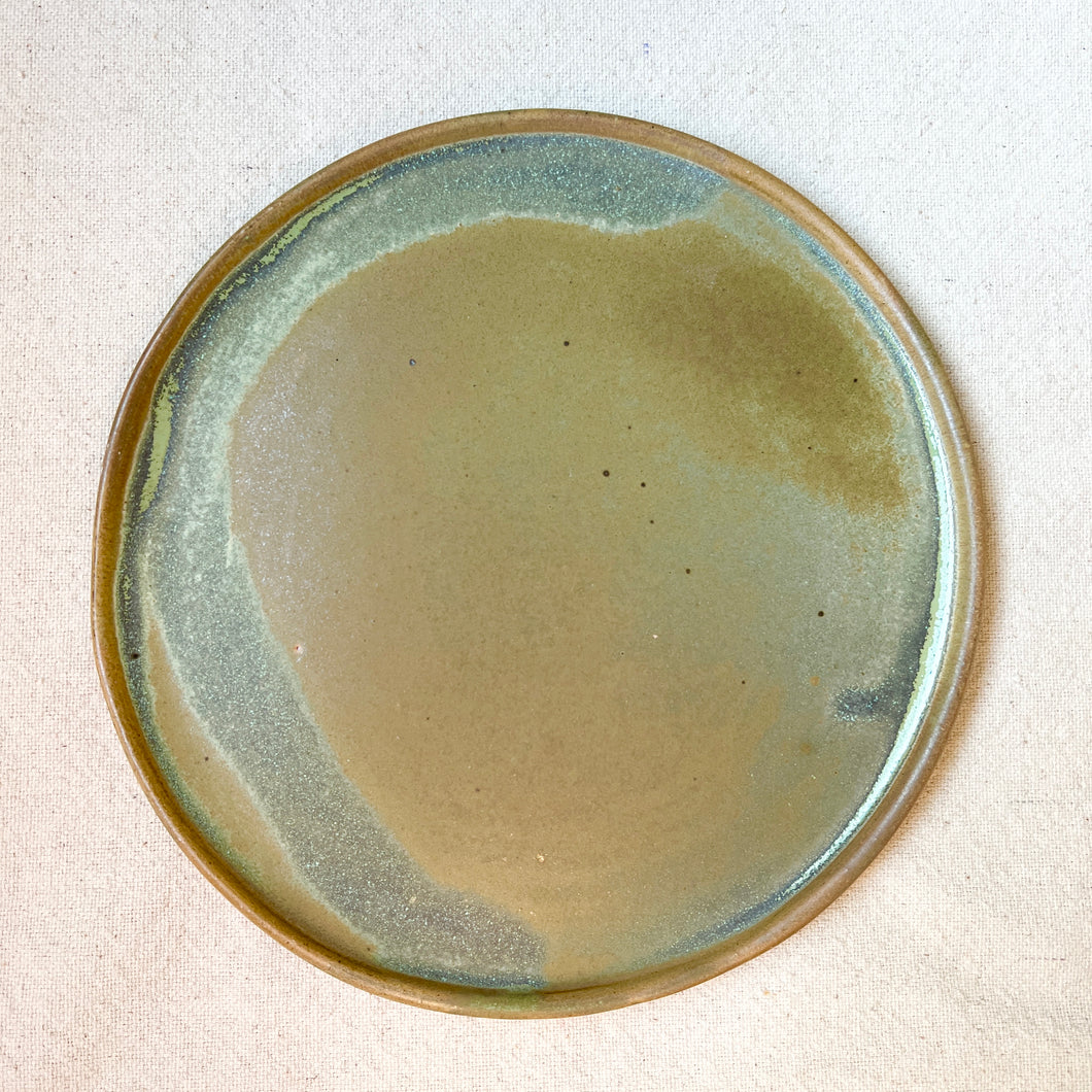Small plate-Lichen