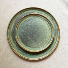 Load image into Gallery viewer, Dinner plate-Lichen
