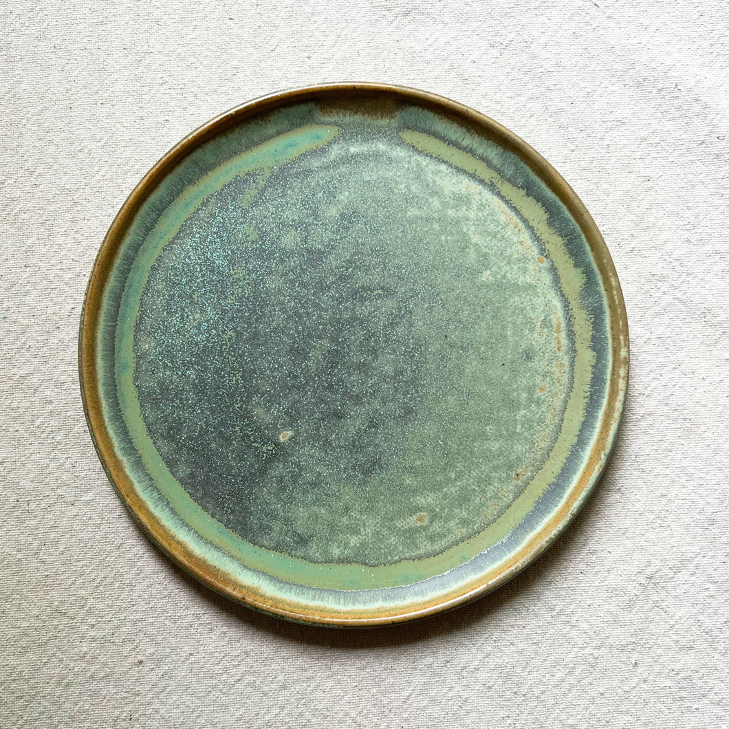 Small Plate-Lichen